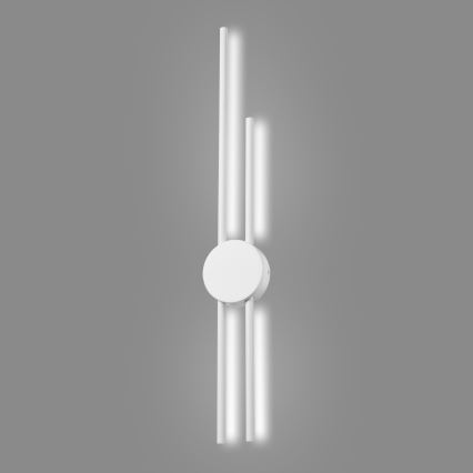 LED Nástenné svietidlo LANA LED/15W/230V 4000K biela