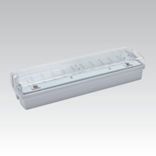 LED Núdzové svietidlo CARLA LED/5,51W/230V IP65
