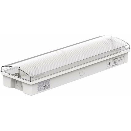 LED Núdzové svietidlo s pravidelným testom funkčnosti EMERGENCY EXIT LED/3W/230V 6400K IP65