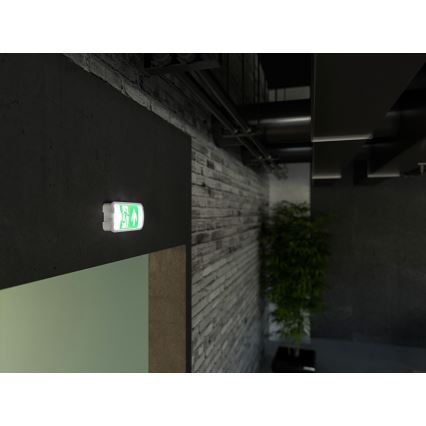 LED Núdzové svietidlo VIRGO EVO LED/1W/230V 6000K IP65