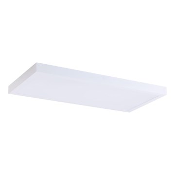 LED Panel LED/36W/230V 4000K 30x60 cm biela