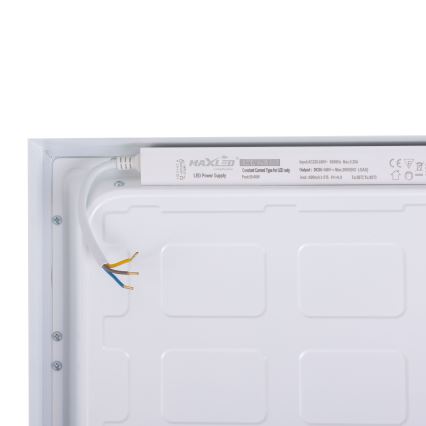 LED Panel LED/36W/230V 4000K 30x60 cm biela