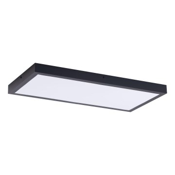 LED Panel LED/36W/230V 4000K 30x60 cm čierna