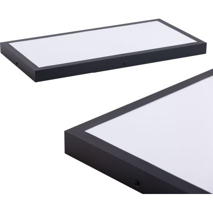 LED Panel LED/36W/230V 4000K 30x60 cm čierna