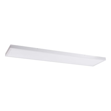 LED Panel LED/60W/230V 4000K 30x120 cm biela