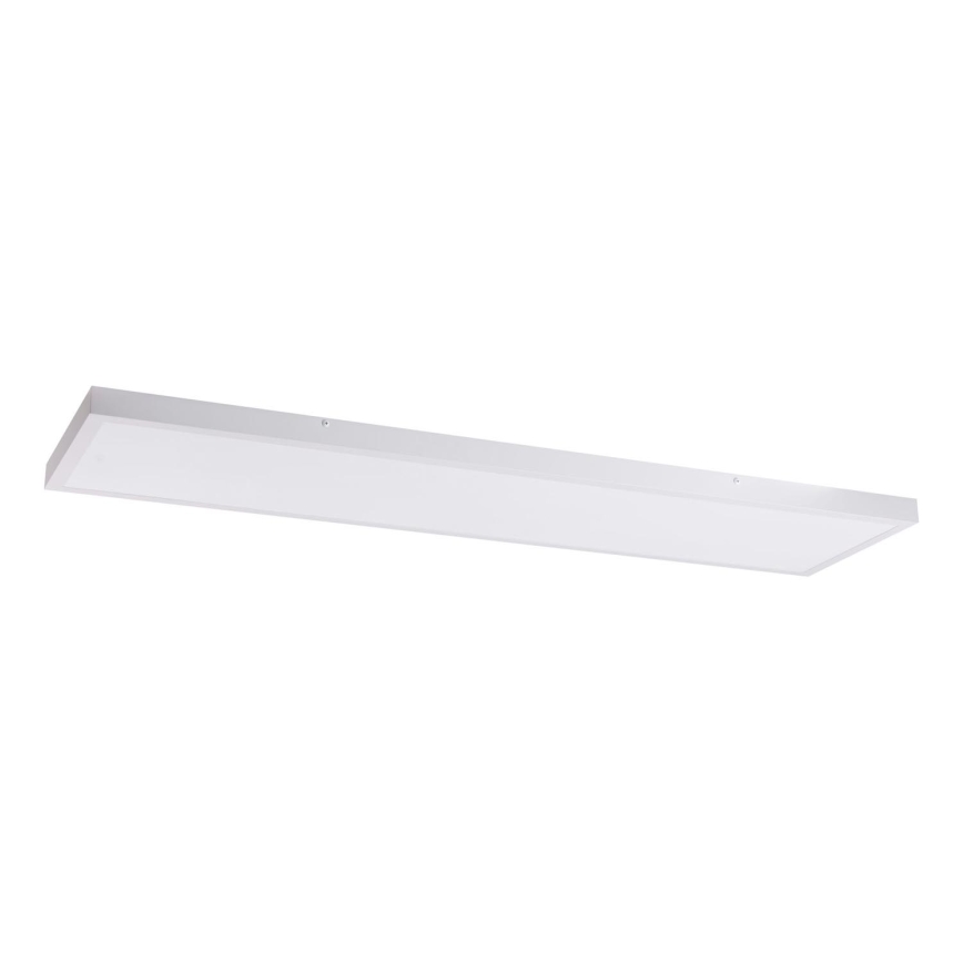 LED Panel LED/60W/230V 4000K 30x120 cm biela