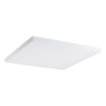 LED Panel LED/60W/230V 4000K 60x60 cm biela