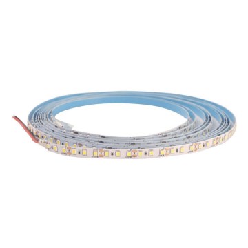 LED Pásik DAISY 30m denná biela