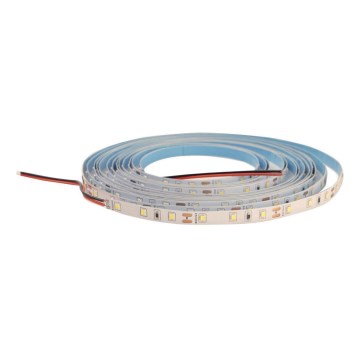 LED Pásik DAISY 5m teplá biela