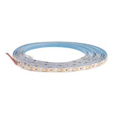 LED Pásik DAISY 5m teplá biela