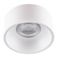 LED Podhľadové bodové svietidlo MINI RITI 1xGU10/25W/230V biela