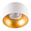 LED Podhľadové svietidlo MINI RITI 1xGU10/25W/230V biela/zlatá