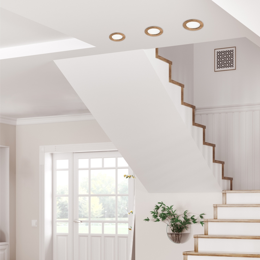 Tri vstavané svietidlá osvetľujú interiér. Schodisko vedie nahor z haly s bielymi stenami a dverami do záhrady. V blízkosti schodov je malá rastlina v nádobe.