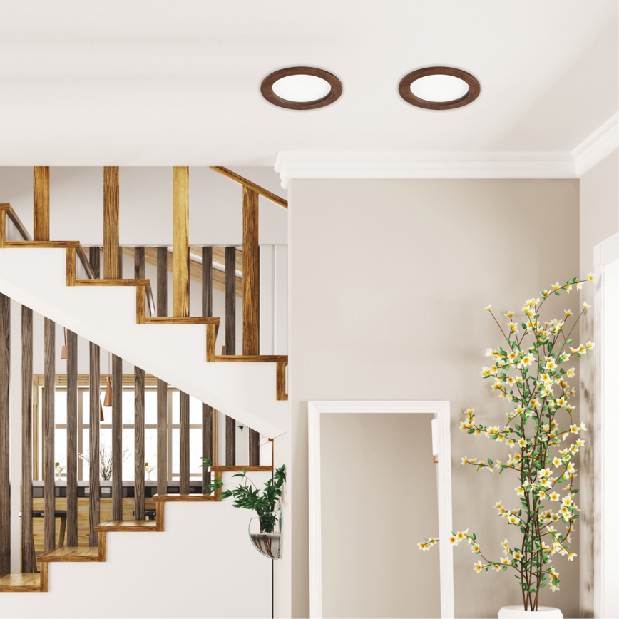 Dve kruhové svietidlá sú osadené na svetlom strope. Pod nimi sa nachádza drevené schodisko vedúce do nižšie položenej miestnosti a vysoká rastlina v kvetináči.
