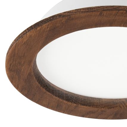 Svietidlo s oválnym bielym difúzorom je obkolesené hnedým dreveným rámom. Svietidlo je zobrazené zblízka na bielom pozadí.