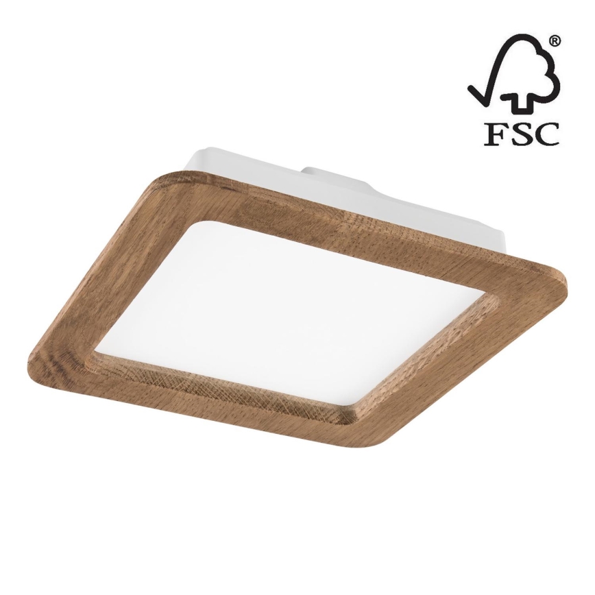LED Podhľadové svietidlo WOODY SPOT LED/17W/230V 3000K orech 18,5x18,5 cm