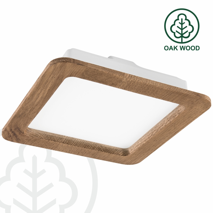 LED Podhľadové svietidlo WOODY SPOT LED/17W/230V 3000K orech 18,5x18,5 cm