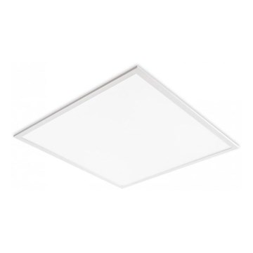 LED Podhľadový panel DAVRO LED/40W/230V 4000K 62x62 cm biela