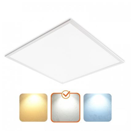 LED Podhľadový panel DAVRO LED/40W/230V 4000K 62x62 cm biela