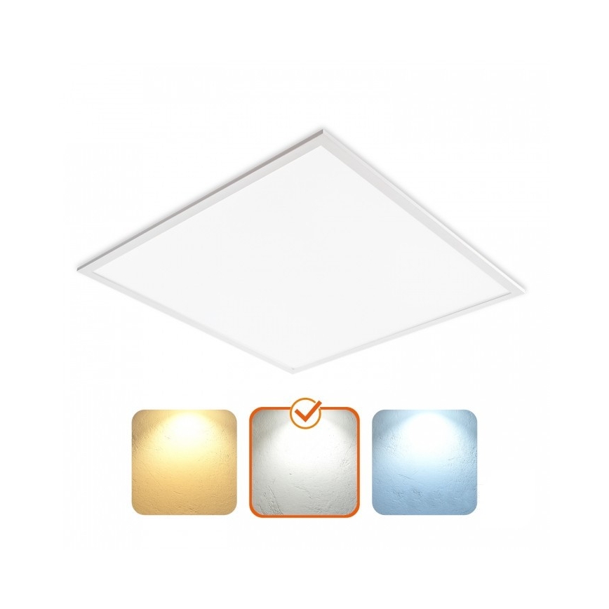LED Podhľadový panel DAVRO LED/40W/230V 4000K 62x62 cm biela