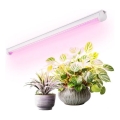 LED Podlinkové osvetlenie na pestovanie rastlín GROWLY LED/9W/230V biela