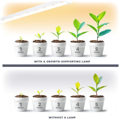 LED Podlinkové svietidlo na pestovanie rastlín GROWLY LED/15W/230W