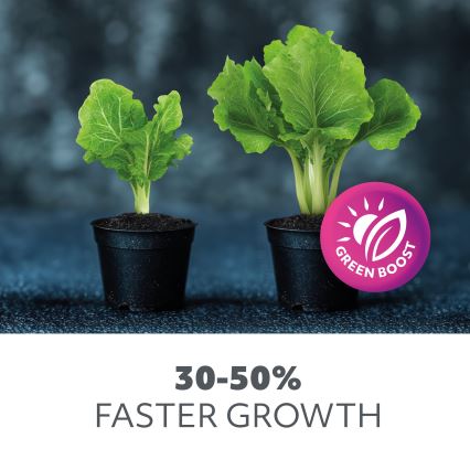 LED Podlinkové svietidlo na pestovanie rastlín GROWLY LED/15W/230W