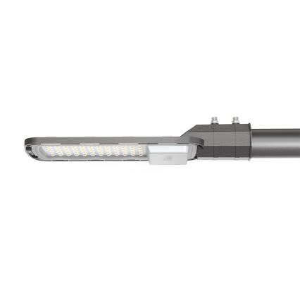 LED Pouličná lampa LED/100W/230V 6500K IP65 šedá