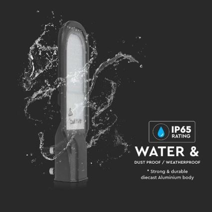 LED Pouličná lampa SAMSUNG CHIP LED/30W/230V 6400K IP65