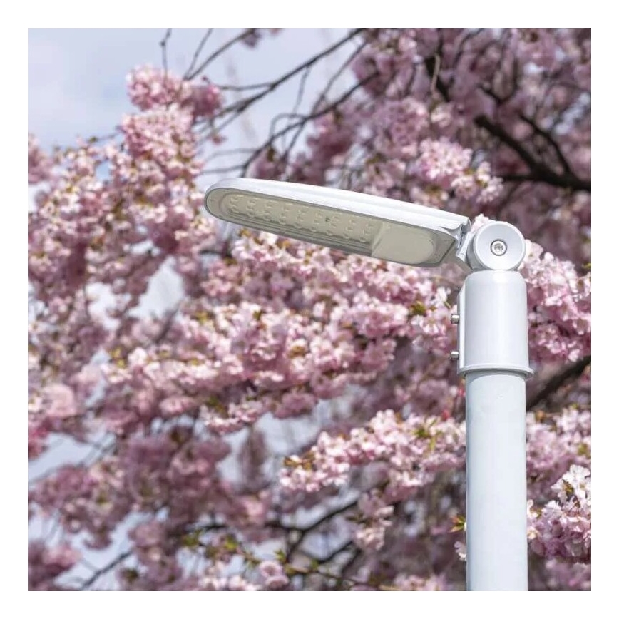 LED Pouličná lampa SOLIS LED/30W/230V 3000K IP65