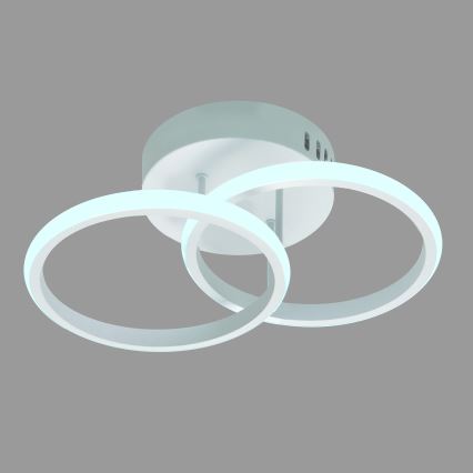 Svietidlo s dvoma prepletenými kruhovými LED prstencami je pripevnené k stropu. Svetlo vyžaruje z vnútornej strany prstencov. Celok je svetlosivo-biely.