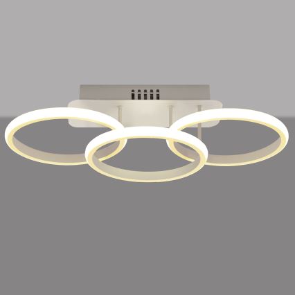 LED Prisadený luster BARI LED/30W/230V biela