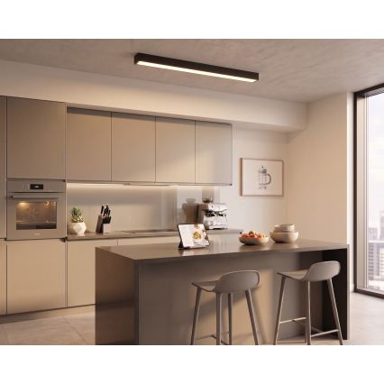 LED Prisadený/luster na lanku LED/44W/230V 3000K 120 cm čierna