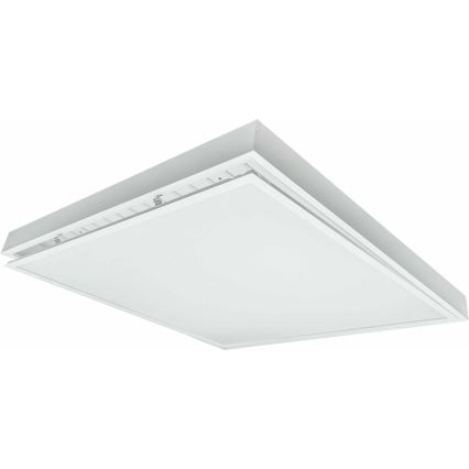 LED Prisadený panel ILLY LED/36W/230V