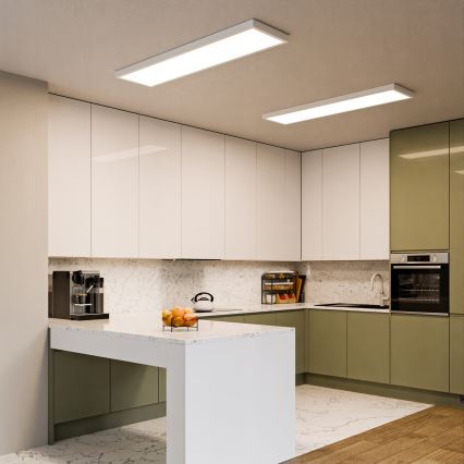 LED Prisadený panel LED/60W/230V 30x120 cm biely