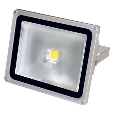 LED reflektor 1xLED/30W/230V IP65 6000K