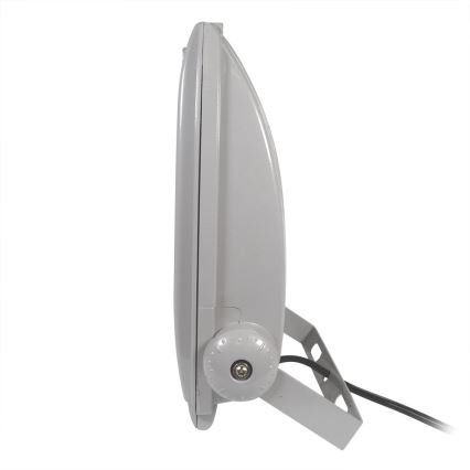 LED Reflektor FLOOD FE-N LED/30W/230V IP65