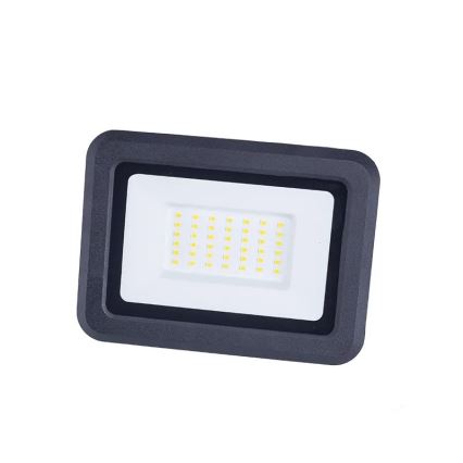 LED Reflektor LED/30W/230V 4000K IP65