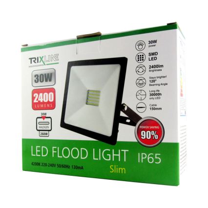 LED Reflektor LED/30W/230V IP65