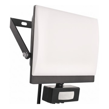 LED reflektor s pohybovým a súmrakovým senzorom TAMBO EVO LED/30W/230V 4000K IP44 čierny