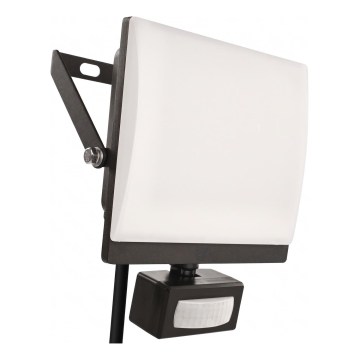 LED reflektor s pohybovým a súmrakovým senzorom TAMBO EVO LED/50W/230V 4000K IP44 čierna