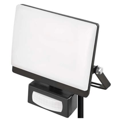 LED reflektor s pohybovým a súmrakovým senzorom TAMBO EVO LED/20W/230V 4000K IP44 čierna