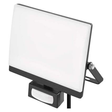 LED reflektor s pohybovým a súmrakovým senzorom TAMBO EVO LED/30W/230V 4000K IP44 čierny