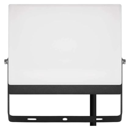 LED reflektor TAMBO EVO LED/50W/230V 4000K IP65 čierny