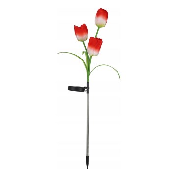 LED RGB Solárne dekoratívne svietidlo 3xLED/3,7V 200 mAh IP44 tulipán