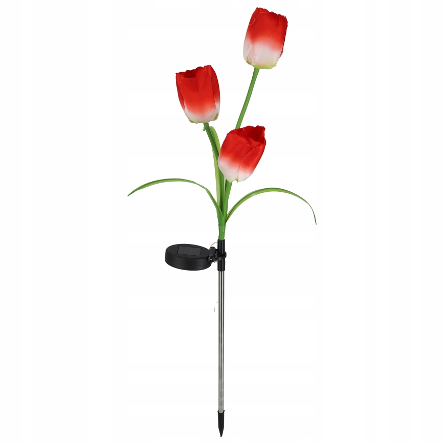 LED RGB Solárne dekoratívne svietidlo 3xLED/3,7V 200 mAh IP44 tulipán