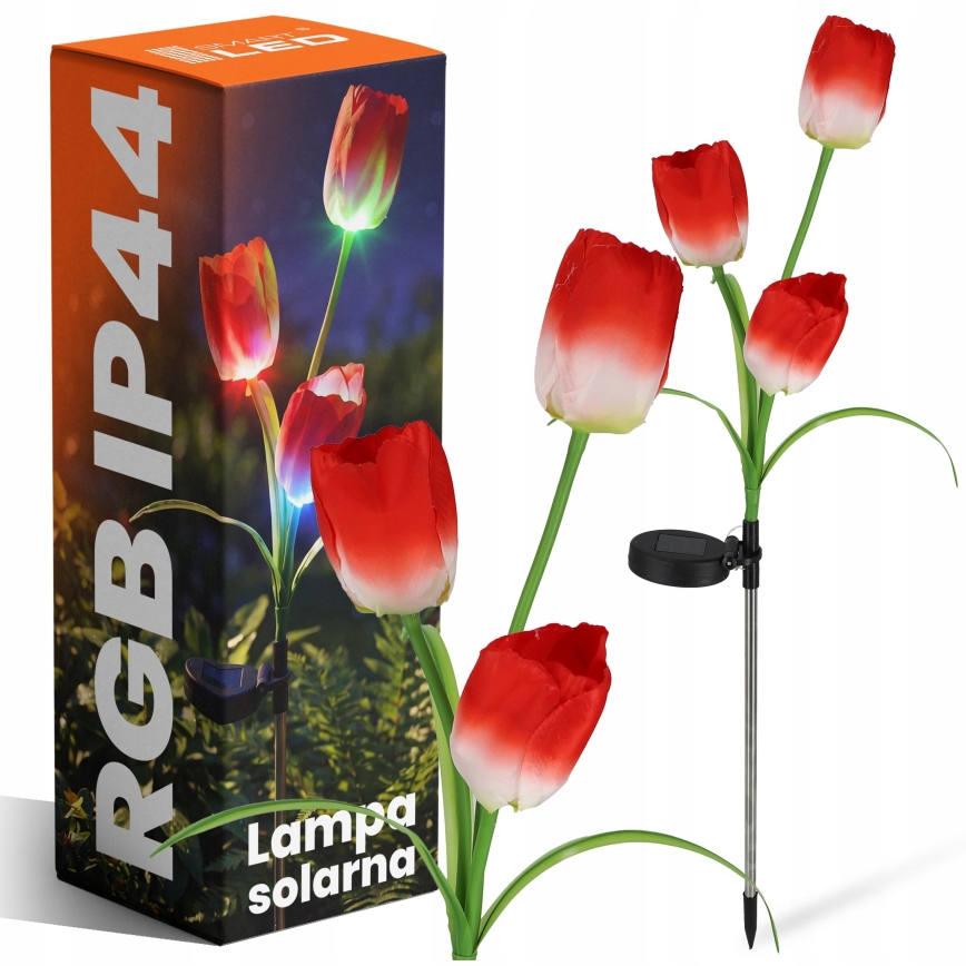 LED RGB Solárne dekoratívne svietidlo 3xLED/3,7V 200 mAh IP44 tulipán