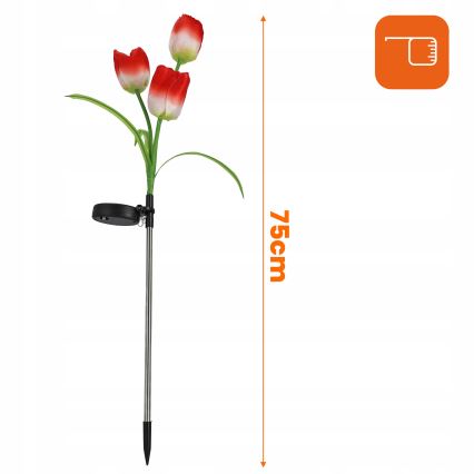 LED RGB Solárne dekoratívne svietidlo 3xLED/3,7V 200 mAh IP44 tulipán