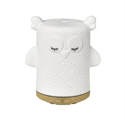LED RGBW Aróma difúzor LED/8W/230V 100 ml sova