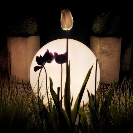 Tri tulipány – jeden biely, dva tmavočervené – osvetlené guľovou lampou v nočnej záhrade. Rastliny sú v popredí, za nimi sú dva kvetináče s nízkymi rastlinami.